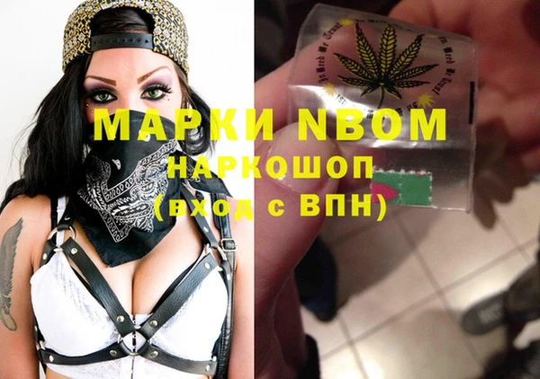 сатива Бронницы