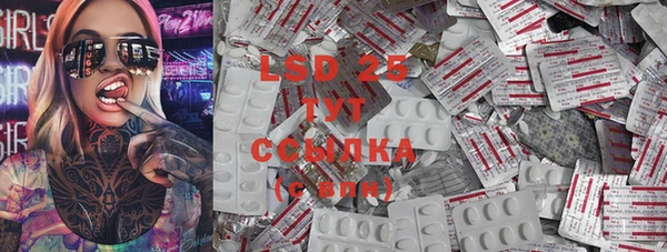 сатива Бронницы