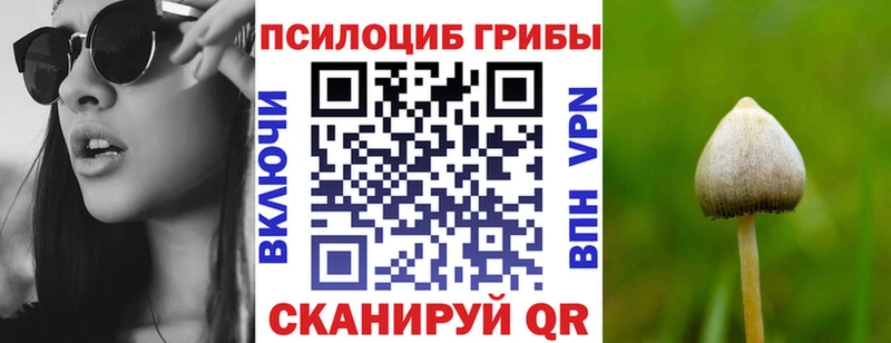 Купить закладки  Верея  Галлюциногенные грибы ЛСД 